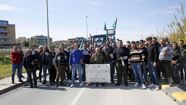 La protesta degli agricoltori porta a incontri cruciali con il Ministro Lollobricida e con l’Assessore Sammartino