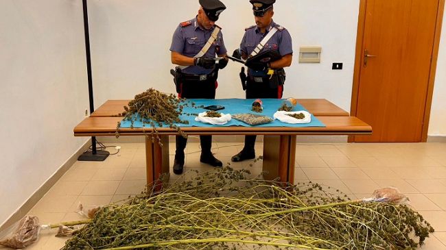 Produzione e spaccio di Marijuana, arrestato 59enne marsalese
