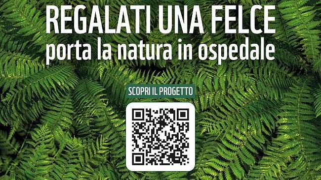 WWF Urban Nature 2023, La Pro Loco Selinunte nelle piazze di Castelvetrano