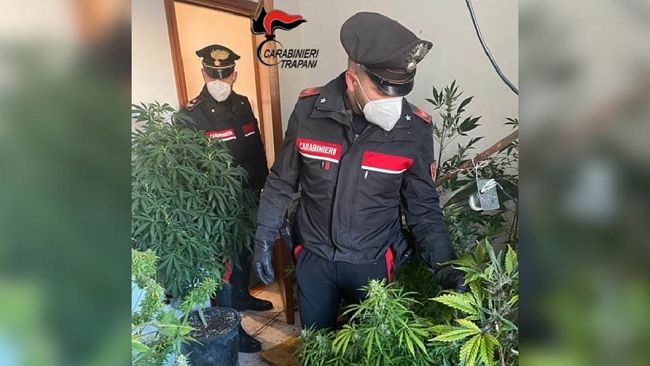 Marsala, rinvenuta una serra indoor e oltre 400 gr di marijuana. Due arresti