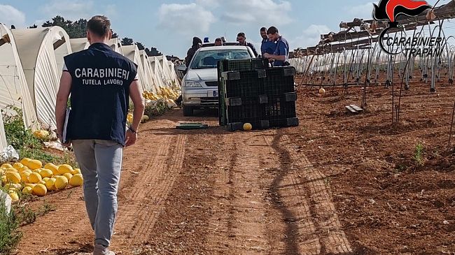 Giro di vite dei carabinieri nel settore agricolo e della ristorazione in provincia di Trapani  