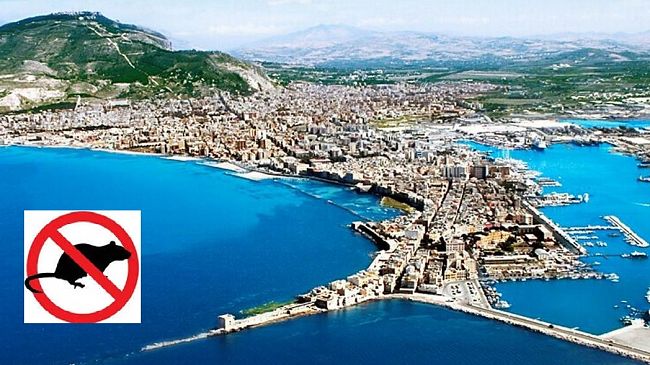 ​Trapani, programmata la derattizzazione