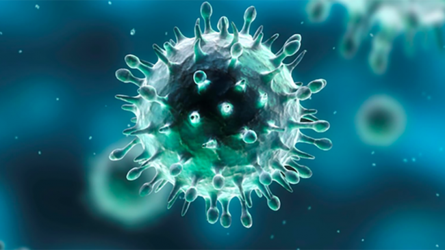 Coronavirus, ad Erice scuole regolarmente aperte