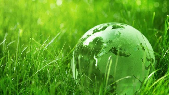 Domani a Marinella e Triscina attività di educazione ambientale