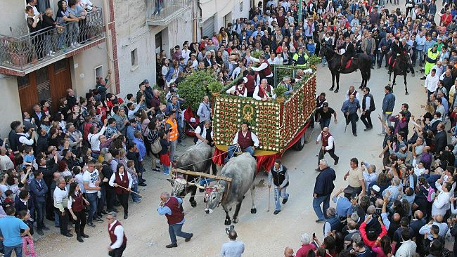 Vita. La festa della Madonna di Tagliavia, quest’anno una partecipazione straordinaria.