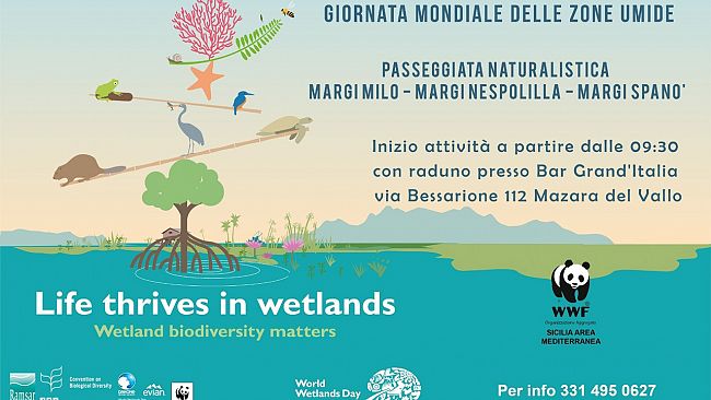 Mazara, il 2 febbraio visita alle zone umide organizzata dal Wwf Sicilia Area Mediterranea