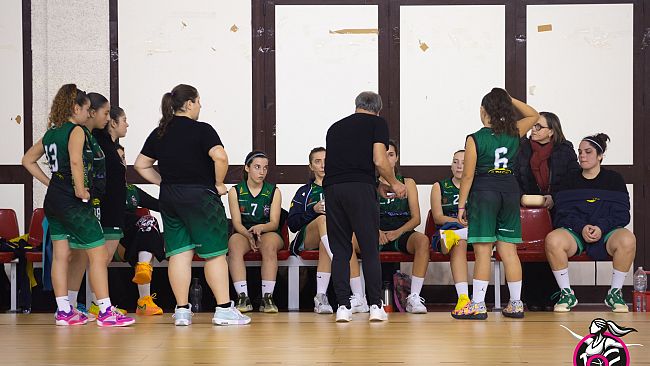 La 102 Basket Erice cerca i playoff, domani arriva Agrigento