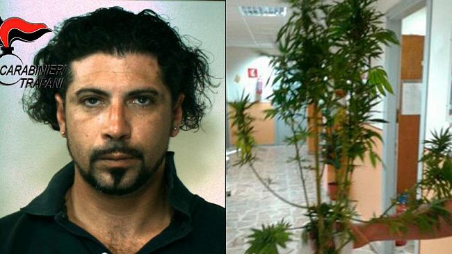 castelvetrano-carabinieri-un-arresto-per-coltivazione-di-marijuana