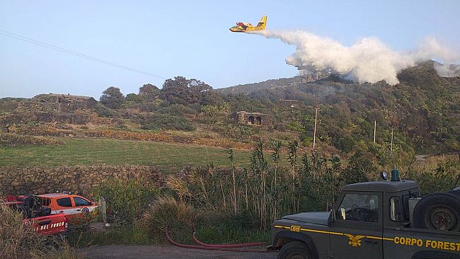 Parco Nazionale Isola di Pantelleria: 