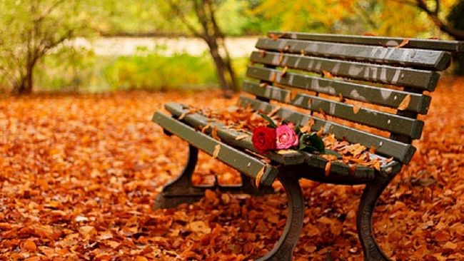 L’autunno che abbiamo nel cuore