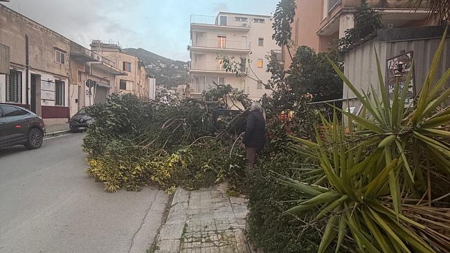 Forte vento, 37 interventi dei vigili del fuoco tra Alcamo e Trapani