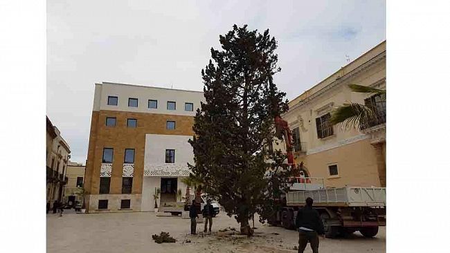 Mazara, installato l’Albero di Natale in Piazza della Repubblica