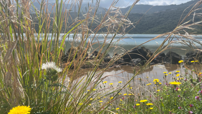 Gli auguri di Pasqua del Parco Nazionale Isola di Pantelleria