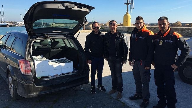 Mazara, Pescherecci di Sciacca pescavano in zona vietata: 16.000 euro di sanzioni e 90 kg di pesce azzurro sequestrato