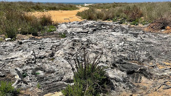 Oasi di Capo Feto, nelle scorse ore bruciate numerose lastre di vetroresina    