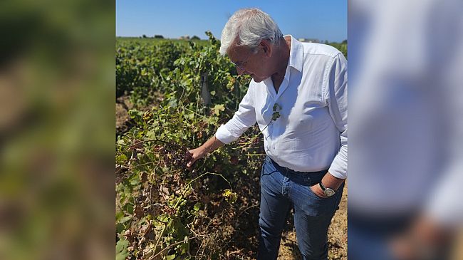 Agricoltura, UniCredit rinvia pagamenti in Sicilia. Pellegrino: 