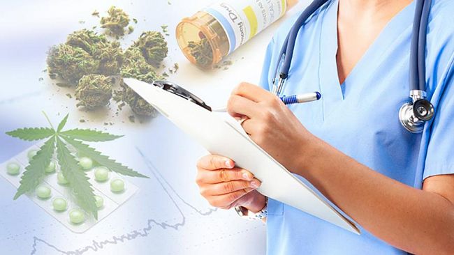 Da oggi la cannabis terapeutica sarà gratuita