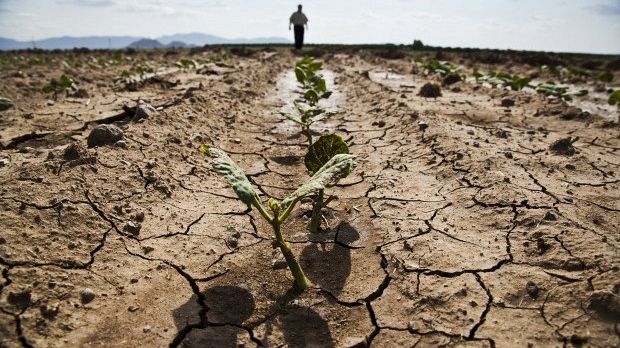 Sicilia, allarme siccità, quadro preoccupante per l’agricoltura