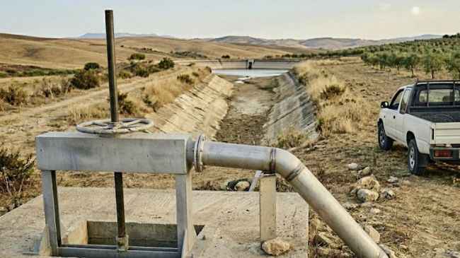 Sicilia, l'acqua c'è ma i campi restano a secco: scoppia la protesta dei produttori