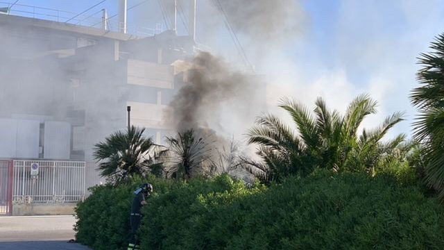Trapani, incendio nelle aiuole intorno al Pala Conad