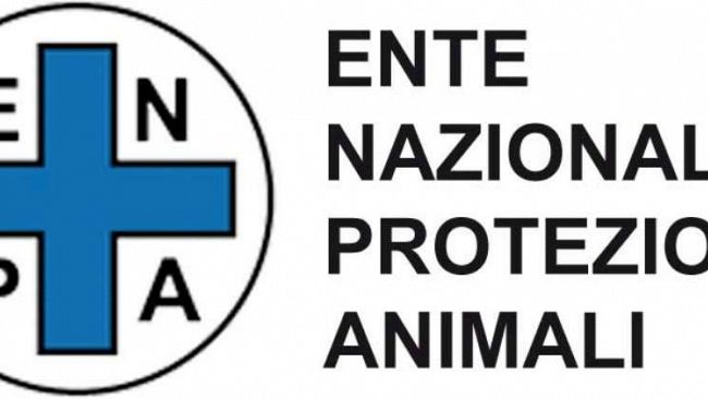 Nota dell’Enpa Mazara su vicenda del cane aggredito: “si sta cercando un capro espiatorio sulla pelle di altri cani innocenti”