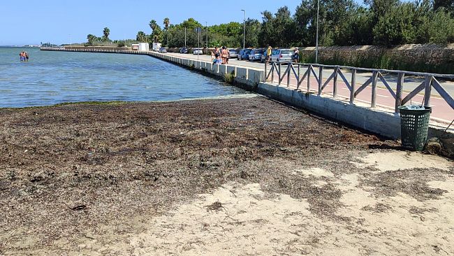 Pulizia odierna spiaggetta di Villa Genna