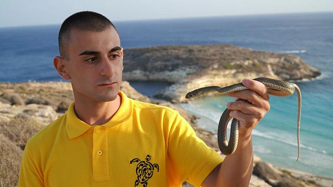 L’ambientalista Sebastian Colnaghi alla scoperta dei serpenti di Lampedusa