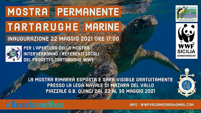 A Mazara la mostra sulle tartarughe marine organizzata dal Wwf 