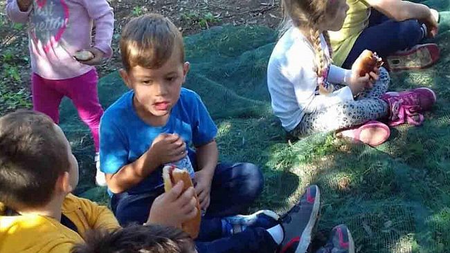 Mazara, gli alunni del “Giardino dei Bimbi” a scuola di agricoltura  all’interno del progetto “Scuola-Natura”