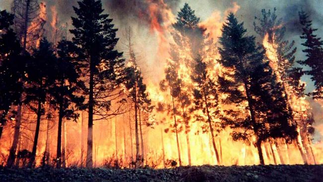 TRAPANI – Incendio Erice. Fazio: «Non è più emergenza ma puntuale e regolare calamità. Come è possibile?».