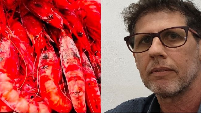 Pesca, Nasce l’OP Blue Sea del Gambero Rosso di Mazara del Vallo