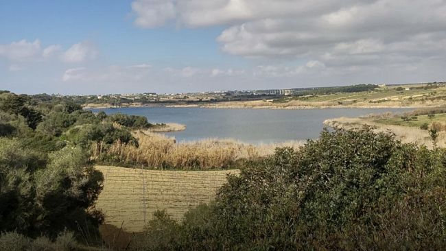 Mazara, Ambiente. La Regione Siciliana finanzia con 3 milioni di euro il progetto di Comune e WWF