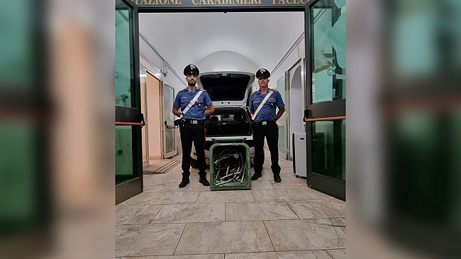 Trapani: sorpresi con 85 kg di cavi di rame in auto appena rubati. Arrestati
