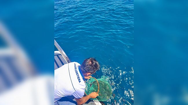 Mazara, pesca abusiva dei ricci di mare: operazione congiunta di Guardia costiera e Carabinieri