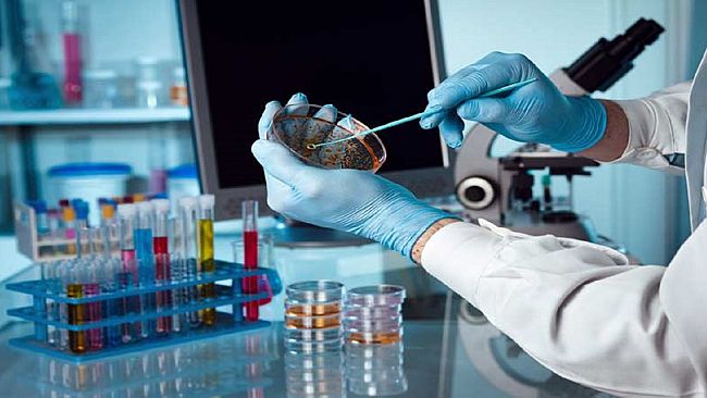 Laboratori di analisi in agitazione in provincia di Trapani 