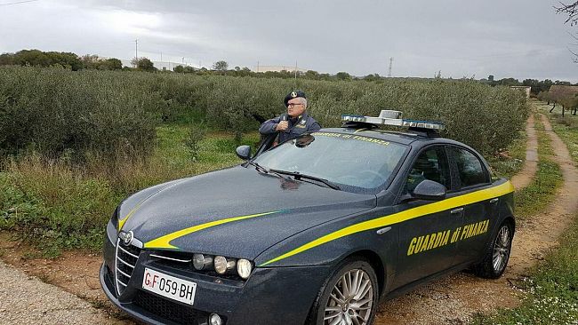 Lavoro agricolo stagionale, individuati 13 lavoratori in nero beneficiari di reddito di cittadinanza