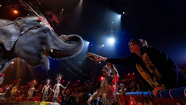 Circo a Marsala nell'area attrezzata dello Stadio: momentaneamente trasferito il mercatino settimanale