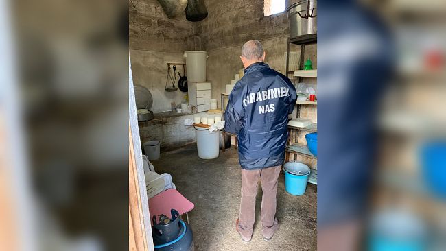 Sanzioni e sequestri dei Nas in un caseificio in provincia di Trapani