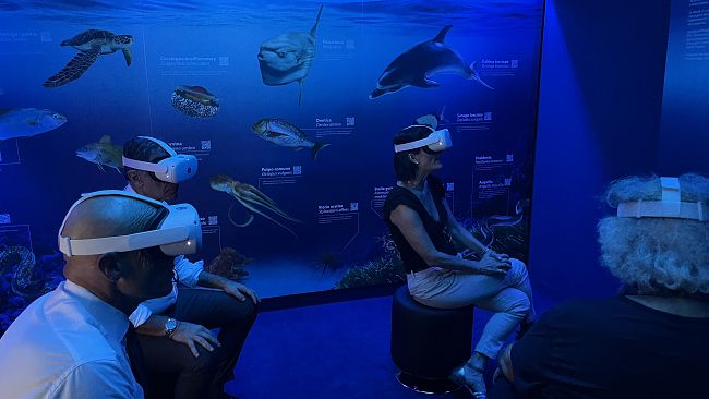 Pantelleria, ​Museo di Punta Spadillo: la stanza del mare e le attività di agosto
