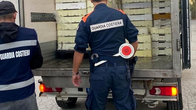 ​Trapani. Sequestrati 800 chili di prodotti ittici non tracciati e scaduti, sanzionati 10 commercianti