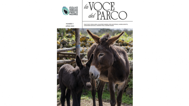 Pantelleria, nasce 