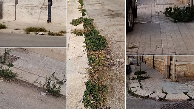 ​Trapani. Cresce il degrado lungo la via Del Cipresso