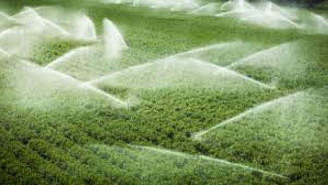 Raddoppiano le tariffe idriche, la denuncia della Consulta agricola