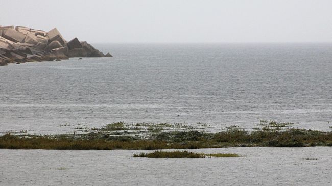 Mazara, escursione naturalistica a Capo Feto e alla 