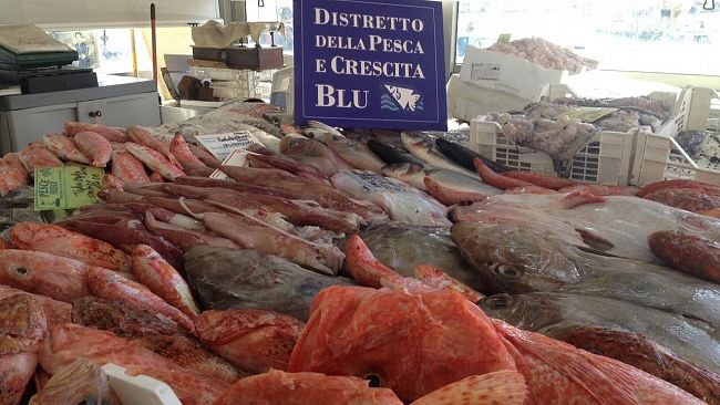 Missione commerciale del Distretto della Pesca in Algeria e Tunisia