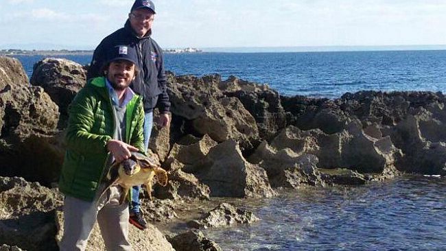 Curata e rilasciata in mare Tanina, prima ospite d’inverno del Centro di Primo Soccorso per Tartarughe Marine dell’Area Marina Protetta “Isole Egadi”