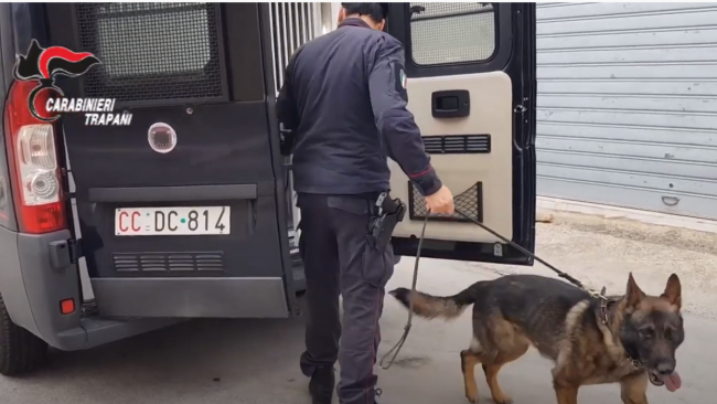 Trapani, le immagini del blitz: la famiglia deteneva droga e animali protetti