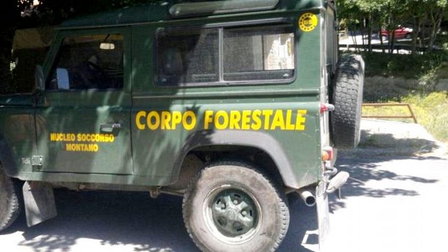 Concorso Forestale Sicilia, stop del TAR all’esclusione del candidato senza esami approfonditi