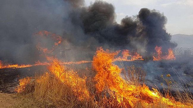 ​Incendio nella periferia Sud di Marsala: fiamme vicino al kartodromo e alle abitazioni