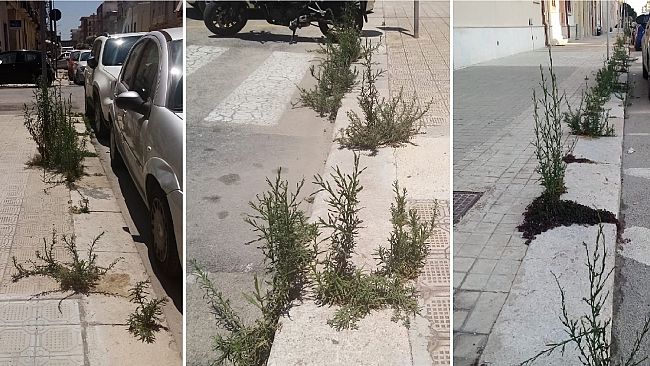 ​Trapani. Cresce il degrado lungo la via XX Settembre